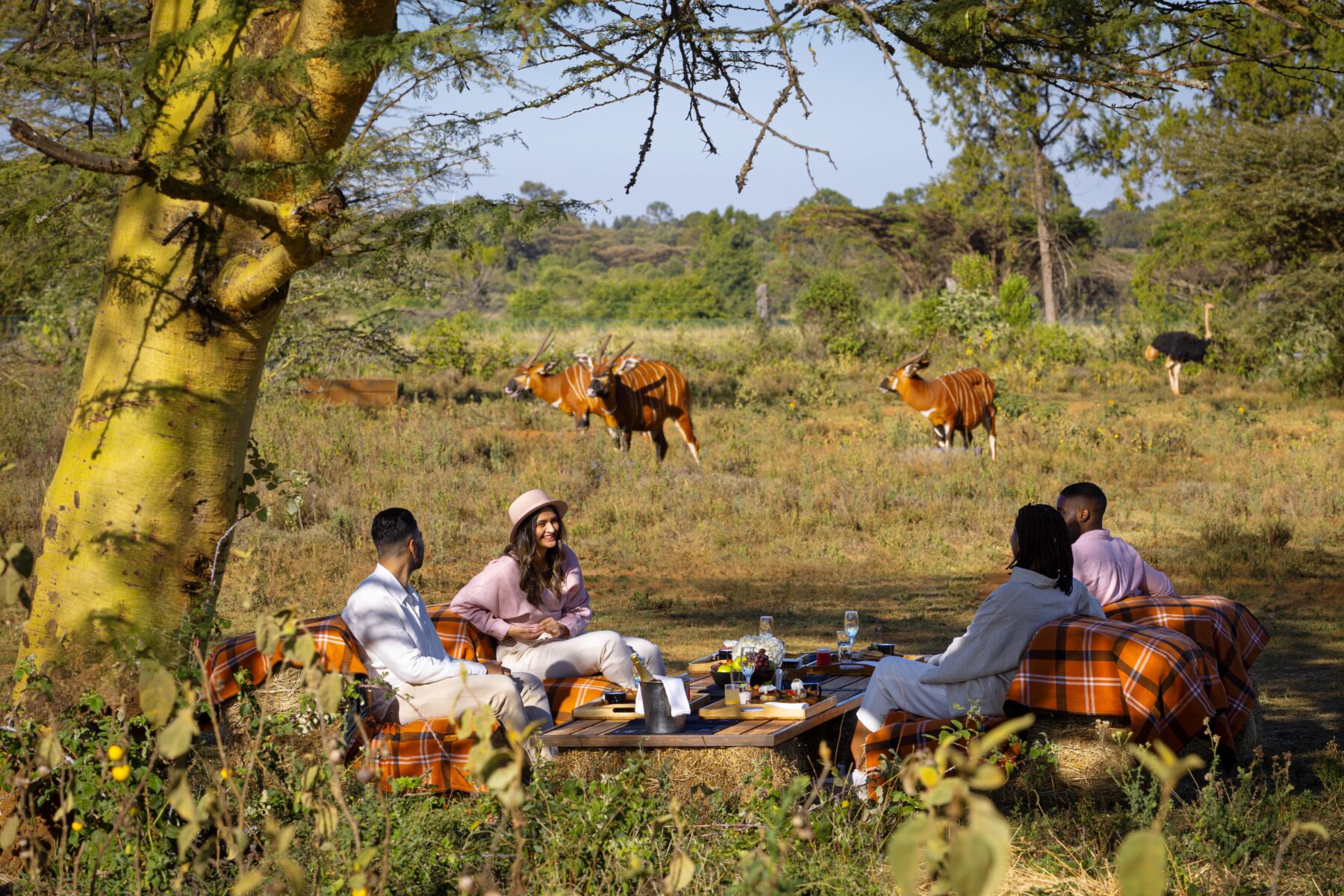 OBO Luxury INTERNATIONAL MAGAZINE WELCOMES THE FAIRMONT MOUNT KENYA SAFARI CLUB